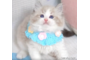 オンライン見学